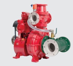 �����ÈDƬ